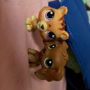 REAL LPS FOR SALE COCKER SPANIEL